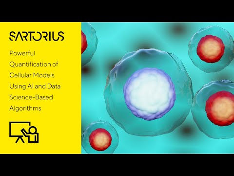 Label-Free Quantification of Cell Growth and Morphology Using AI and Advanced Data Analytics