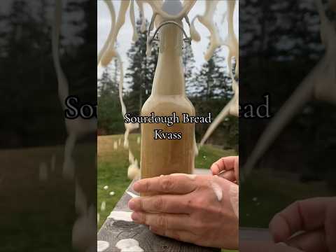 Sourdough Bread Kvass Recipe #fermentation